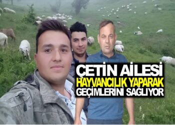 ÇETİN AİLESİ ASARCIK’TA, KÜÇÜKBAŞ HAYVANCILIK YAPARAK GEÇİMLERİNİ SAĞLIYOR