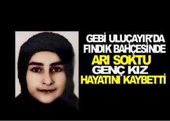 GEBİ ULUÇAYIR’DA ELİNİ ARI SOKTU GENÇ KIZ YAŞAMINI YİTİRDİ