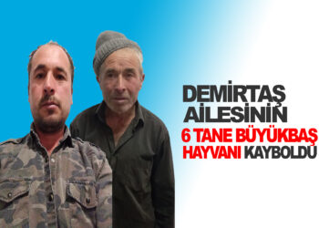 DEMİRTAŞ AİLESİNİN  6 TANE BÜYÜKBAŞ HAYVANI KAYBOLDU