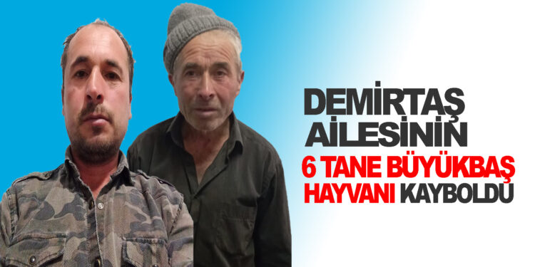 DEMİRTAŞ AİLESİNİN  6 TANE BÜYÜKBAŞ HAYVANI KAYBOLDU