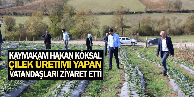 ASARCIK KAYMAKAMI HAKAN KÖKSAL ÇİLEK ÜRETİMİ YAPAN VATANDAŞLARI ZİYARET ETTİ
