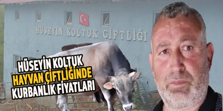 HÜSEYİN KOLTUK HAYVAN ÇİFTLİĞİNDE 2024 KURBANLIK FİYATLARI