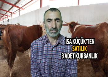 İSA KÜÇÜK’TEN SATILIK 3 ADET KURBANLIK