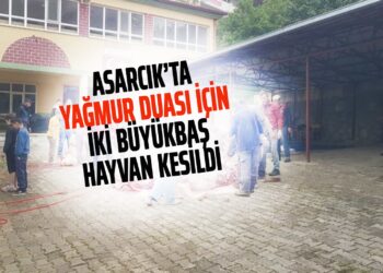 ASARCIK’TA YAĞMUR DUASI İÇİN İKİ BÜYÜKBAŞ HAYVAN KESİLDİ