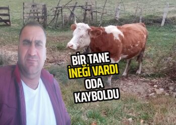 BİR İNEĞİ VARDI ODA KAYBOLDU