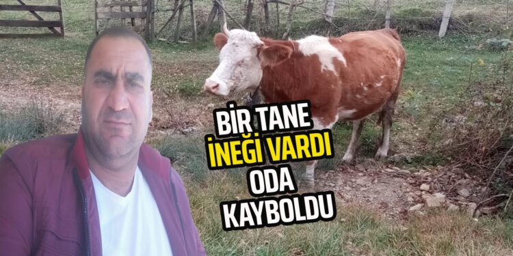 BİR İNEĞİ VARDI ODA KAYBOLDU