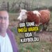 BİR İNEĞİ VARDI ODA KAYBOLDU