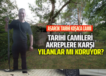 TARİHİ CAMİLERİ AKREPLERE KARŞI YILANLAR MI KORUYOR?