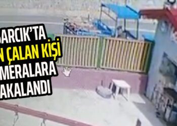 ASARCIK’TA ODUN ÇALAN KİŞİ KAMERALARA YAKALANDI