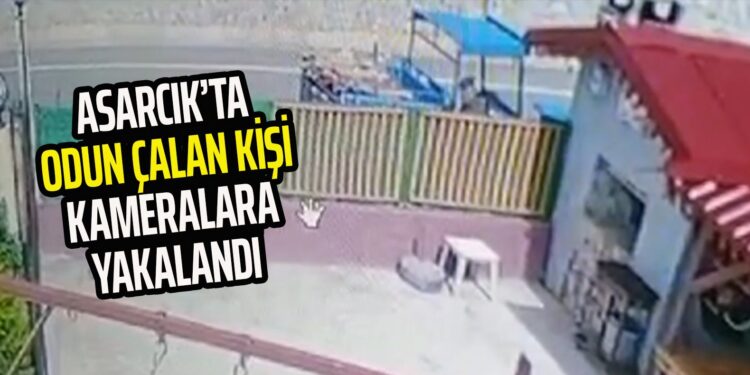 ASARCIK’TA ODUN ÇALAN KİŞİ KAMERALARA YAKALANDI