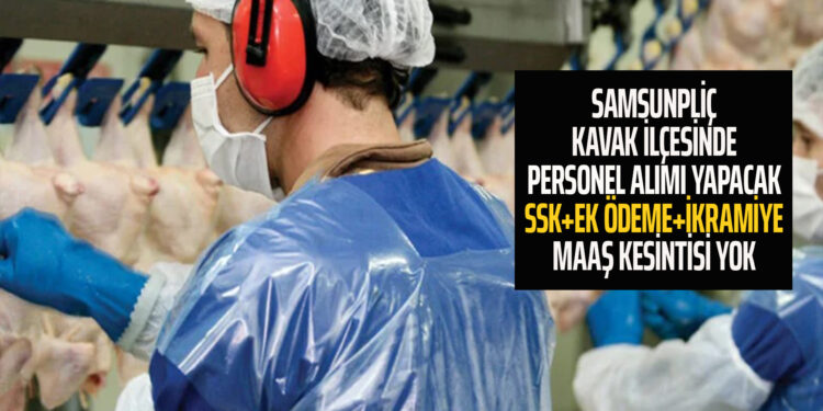 SAMSUNPİLİÇ KAVAK İLÇESİNDE PERSONEL ALIMI YAPACAK! SSK+EK ÖDEME+MAAŞ KESİNTİSİ YOK