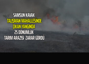 SAMSUN KAVAK TALIŞMAN MAHALLESİNDE ÇIKAN YANGINDA 25 DÖNÜMLÜK TARIM ARAZİSİ ZARAR GÖRDÜ