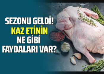 SEZONU GELDİ! KAZ ETİNİN NE GİBİ FAYDALARI VAR?
