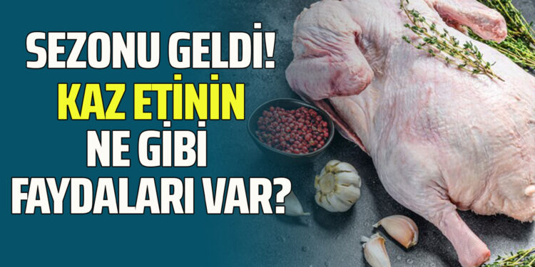 SEZONU GELDİ! KAZ ETİNİN NE GİBİ FAYDALARI VAR?