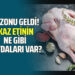 SEZONU GELDİ! KAZ ETİNİN NE GİBİ FAYDALARI VAR?