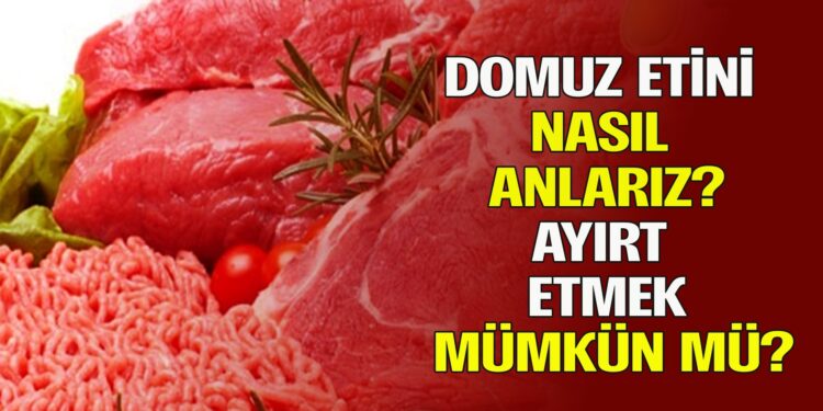 DOMUZ ETİNİ NASIL ANLARIZ AYIRT ETMEK MÜMKÜN MÜ?