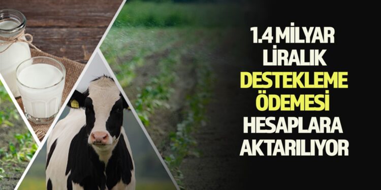 1.4 MİLYAR LİRALIK DESTEKLEME ÖDEMESİ HESAPLARA AKTARILIYOR