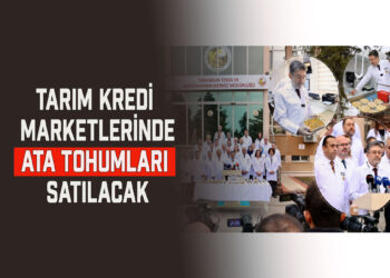 TARIM KREDİ MARKETLERİNDE ATA TOHUMLARI SATILACAK