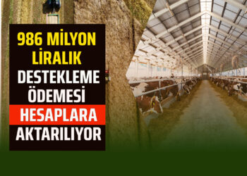 986 MİLYON LİRALIK DESTEKLEME ÖDEMESİ HESAPLARA AKTARILIYOR