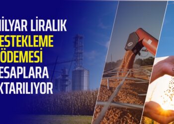 2.1 MİLYAR LİRALIK DESTEKLEME ÖDEMESİ HESAPLARA AKTARILIYOR
