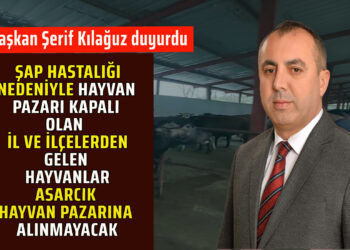ŞAP HASTALIĞI NEDENİYLE KAPALI OLAN İL VE İLÇELERDEN GELEN HAYVANLAR ASARCIK HAYVAN PAZARINA ALINMAYACAK