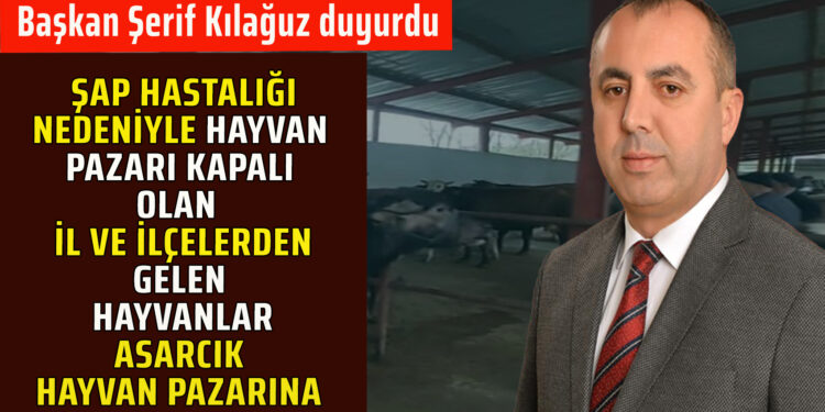 ŞAP HASTALIĞI NEDENİYLE KAPALI OLAN İL VE İLÇELERDEN GELEN HAYVANLAR ASARCIK HAYVAN PAZARINA ALINMAYACAK