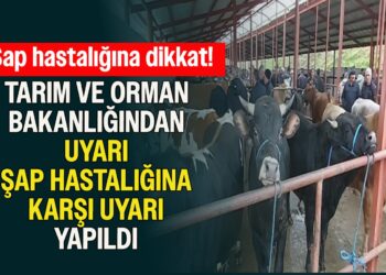 TARIM VE ORMAN BAKANLIĞINDAN UYARI ŞAP HASTALIĞINA KARŞI UYARI YAPILDI