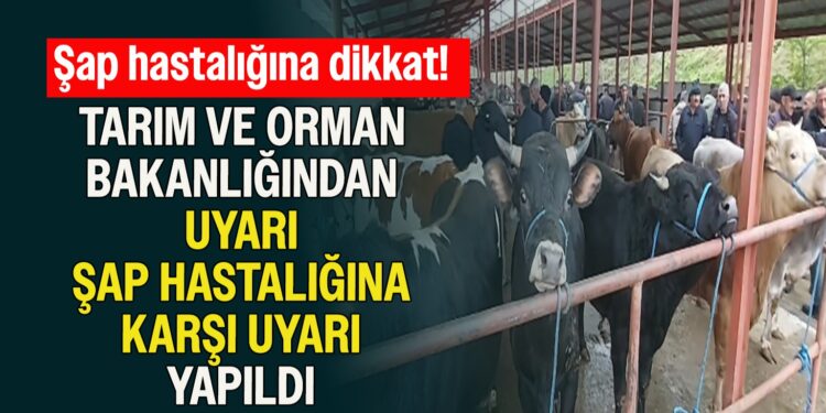 TARIM VE ORMAN BAKANLIĞINDAN UYARI ŞAP HASTALIĞINA KARŞI UYARI YAPILDI