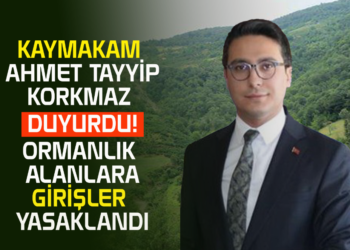KAYMAKAM AHMET TAYYİP KORKMAZ DUYURDU! ORMANLIK ALANLARA GİRİŞLER YASAKLANDI