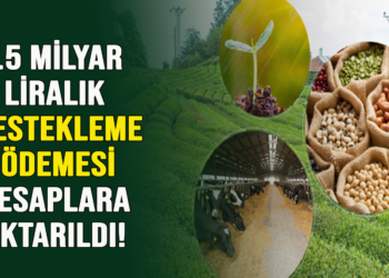 5.5 MİLYAR LİRALIK DESTEKLEME ÖDEMESİ HESAPLARA  AKTARILDI