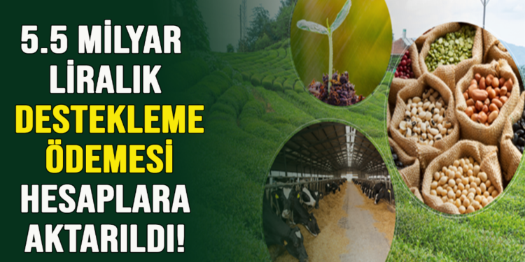 5.5 MİLYAR LİRALIK DESTEKLEME ÖDEMESİ HESAPLARA  AKTARILDI