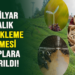 5.5 MİLYAR LİRALIK DESTEKLEME ÖDEMESİ HESAPLARA  AKTARILDI
