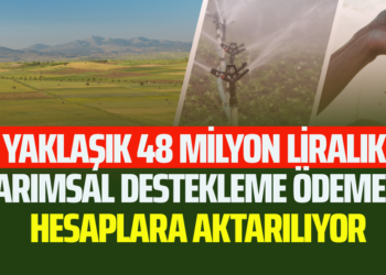 YAKLAŞIK 48 MİLYON LİRALIK TARIMSAL DESTEKLEME ÖDEMESİ HESAPLARA AKTARILIYOR