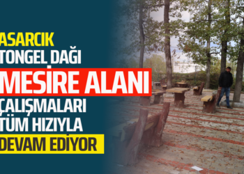 ASARCIK TONGEL DAĞI MESİRE ALANI ÇALIŞMALARI TÜM HIZIYLA DEVAM EDİYOR