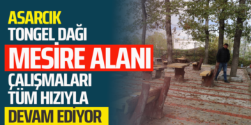 ASARCIK TONGEL DAĞI MESİRE ALANI ÇALIŞMALARI TÜM HIZIYLA DEVAM EDİYOR