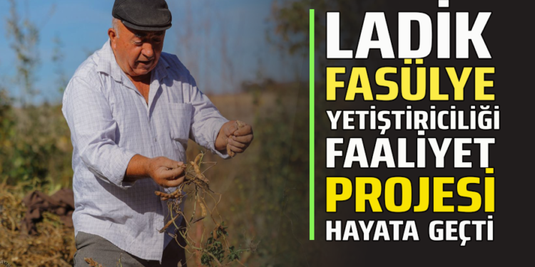LADİK FASÜLYE YETİŞTİRİCİLİĞİ FAALİYET PROJESİ HAYATA GEÇTİ