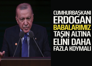 CUMHURBAŞKANI ERDOGAN BABALARIMIZ TAŞIN ALTINA ELİNİ DAHA FAZLA KOYMALI