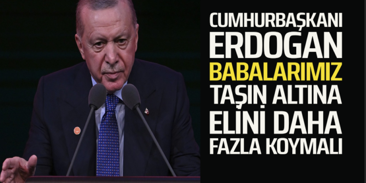 CUMHURBAŞKANI ERDOGAN BABALARIMIZ TAŞIN ALTINA ELİNİ DAHA FAZLA KOYMALI