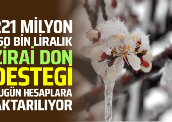 221 MİLYON 150 BİN LİRALIK ZİRAİ DON DESTEGI BUGÜN HESAPLARA AKTARILIYOR