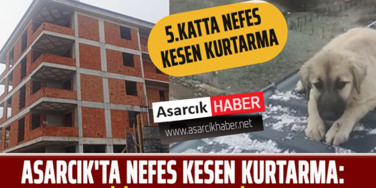 ASARCIK’TA NEFES KESEN KURTARMA: CAN DOSTU İÇİN CANLARINI HİÇE SAYDILAR!