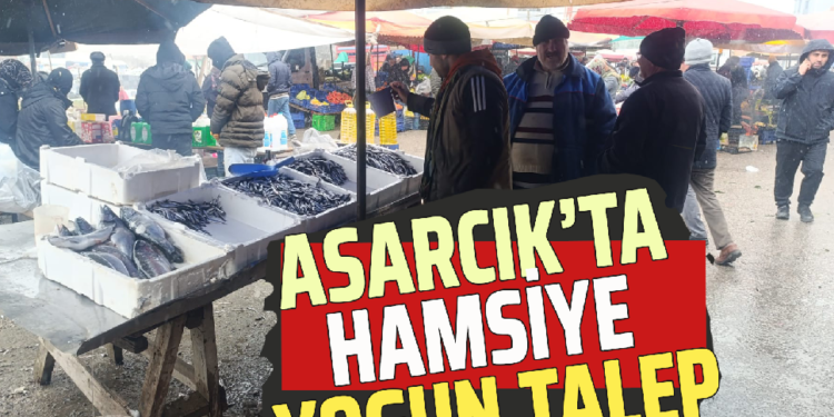 ASARCIK’TA HAMSİYE YOĞUN TALEP!