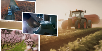 19.5 MİLYAR LİRALIK DESTEKLEME ÖDEMESİ HESAPLARA AKTARILIYOR