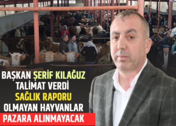 BAŞKAN ŞERİF KILAĞUZ TALİMAT VERDİ SAĞLIK RAPORU OLMAYAN HAYVANLAR PAZARA ALINMAYACAK