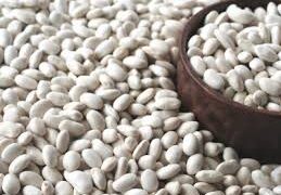 ASARCIK’TA ÇİFTÇİYE BÜYÜK DESTEK: %70 HİBELİ FASÜLYE TOHUMU DAĞITLACAK