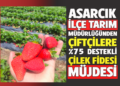 ASARCIK İLÇE TARIM MÜDÜRLÜĞÜNDEN ÇİFTÇİLERE %75 DESTEKLİ ÇİLEK FİDESİ MÜJDESİ!
