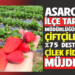 ASARCIK İLÇE TARIM MÜDÜRLÜĞÜNDEN ÇİFTÇİLERE %75 DESTEKLİ ÇİLEK FİDESİ MÜJDESİ!