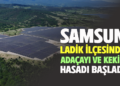 SAMSUN LADİK İLÇESİNDE ADAÇAYI VE KEKİK HASADI BAŞLADI