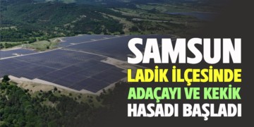 SAMSUN LADİK İLÇESİNDE ADAÇAYI VE KEKİK HASADI BAŞLADI